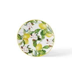 Carmen 6 Piece Dessert Plate Set