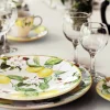 Carmen 6 Piece Dinner Plate Set