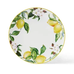 Carmen 6 Piece Dinner Plate Set