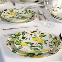 Carmen 6 Piece Dinner Plate Set
