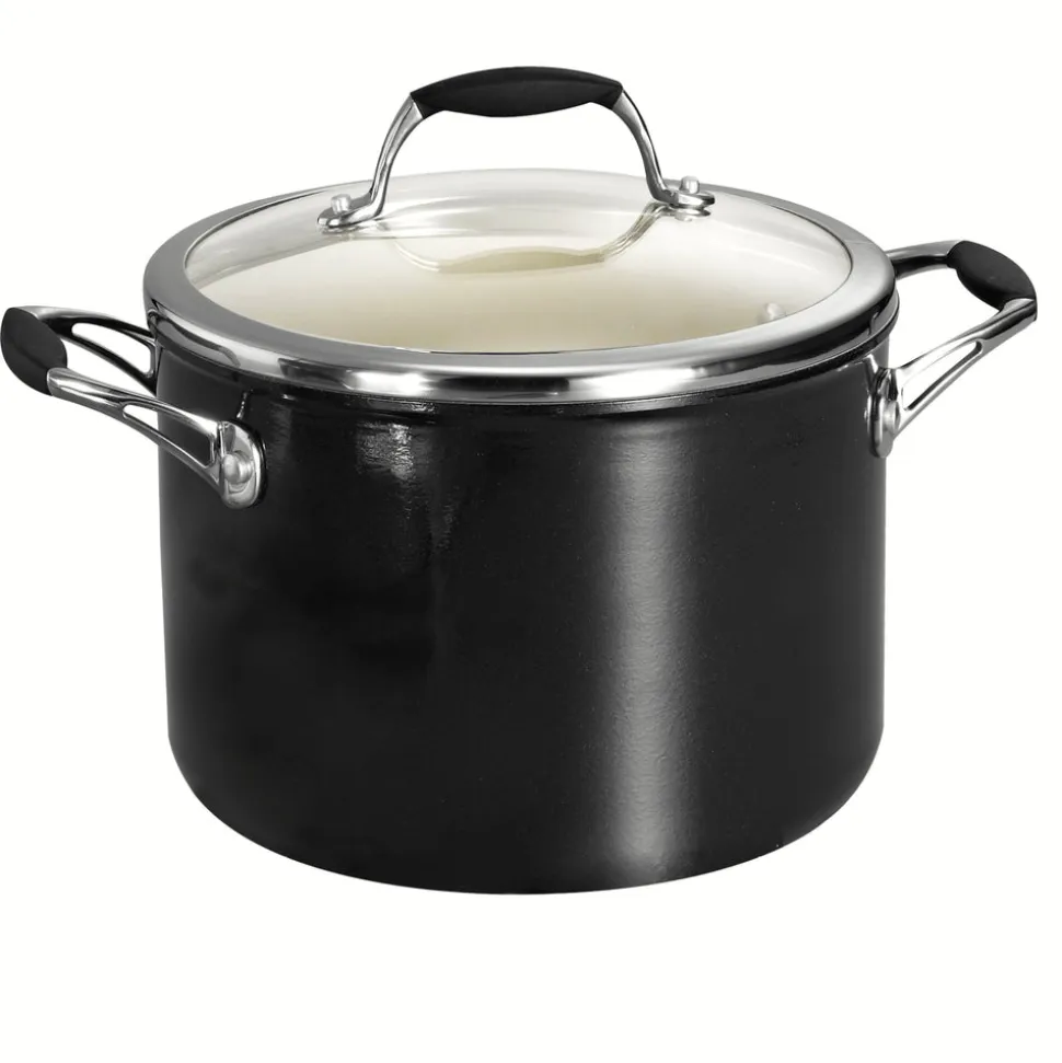 Ceramica Deluxe 6 Quart Ceramic Stock Pot with Lid