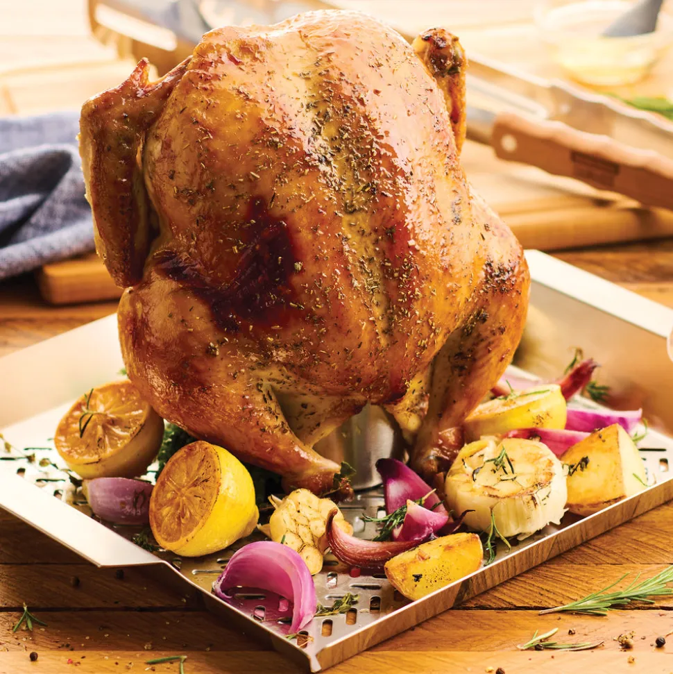 Churrasco BBQ Stainless Steel Outdoor Chicken Roaster with Basting Cup