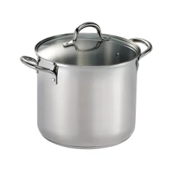 Covered Stainless Steel Stock Pot