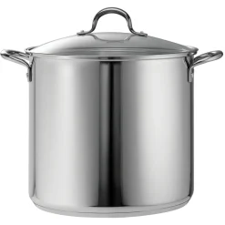 Covered Stainless Steel Stock Pot