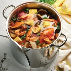 Covered Stainless Steel Stock Pot
