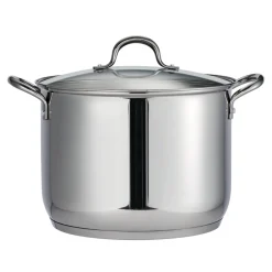 Covered Stainless Steel Stock Pot