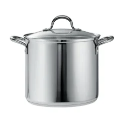 Covered Stainless Steel Stock Pot