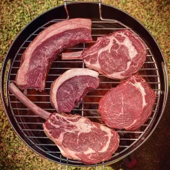15.5 Inch Stainless Steel Round BBQ Charcoal Grill with Lid