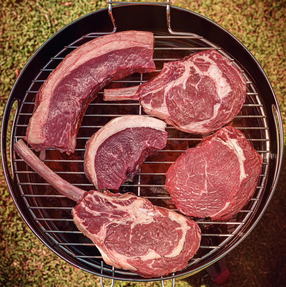 15.5 Inch Stainless Steel Round BBQ Charcoal Grill with Lid