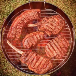 15.5 Inch Stainless Steel Round BBQ Charcoal Grill with Lid