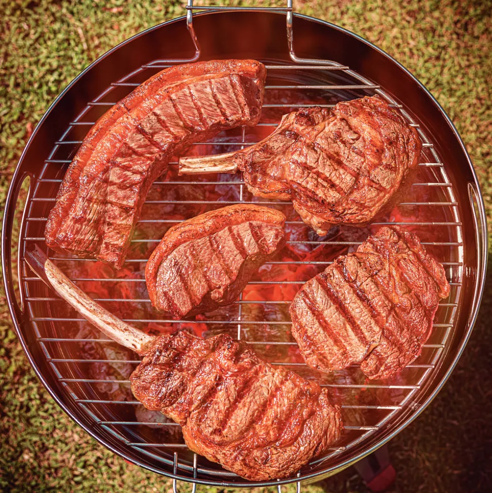 15.5 Inch Stainless Steel Round BBQ Charcoal Grill with Lid