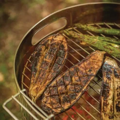 15.5 in Stainless Steel Round BBQ Charcoal Grill with Stand