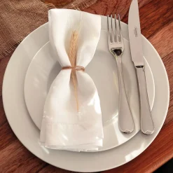 Maria Augusta 6 Piece Dinner Plate Set