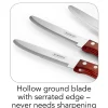 Porterhouse 4 Piece Steak Knife Set - Rounded
