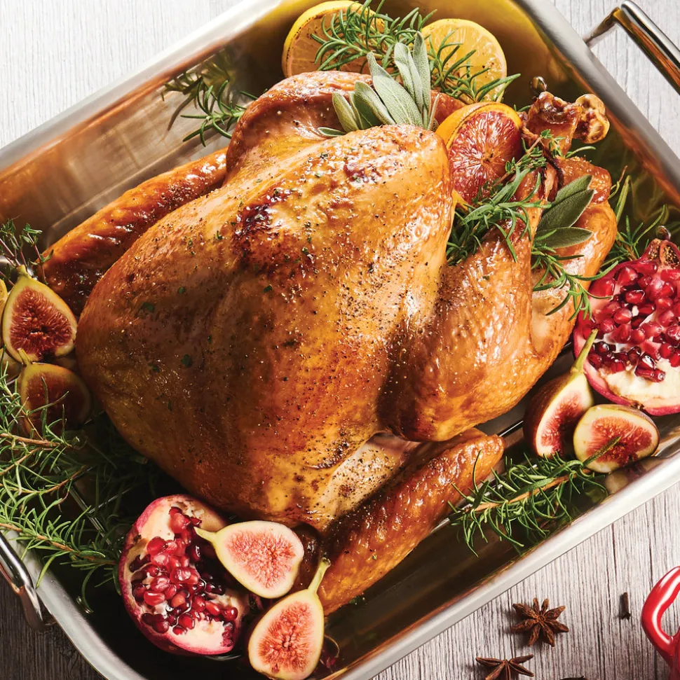 Prima 16.75 in Stainless Steel Flared Edge Roasting Pan - Includes Basting Rack