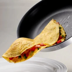 Professional Nonstick Fry Pan